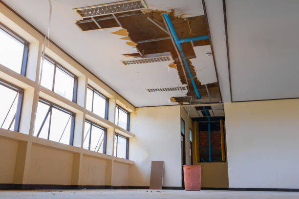 Best Water damage cleanup near me  in Danbury, TX