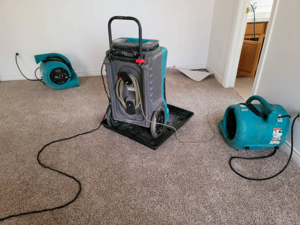 Professional Water damage restoration in Danbury, TX