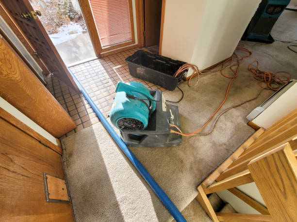 Best Commercial water damage restoration  in Danbury, TX
