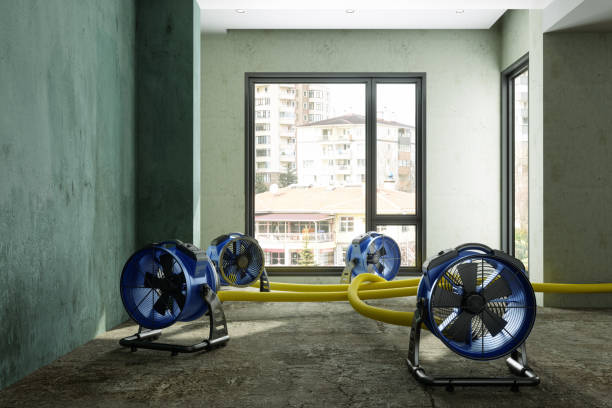 Best Flood restoration services  in Danbury, TX